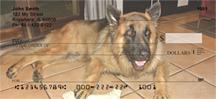 Lazy German Shepherds