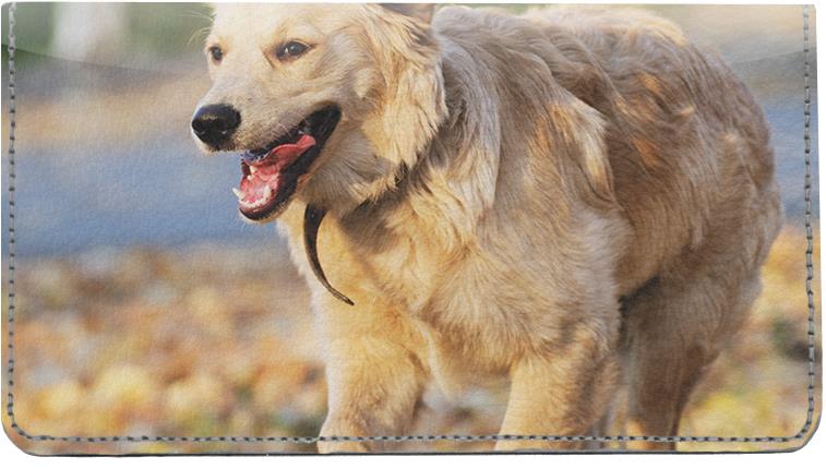 golden retriever personal checks golden retriever checks golden retriever personal checks golden retriever personal checks golden retriever checks golden retriever personal checks