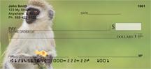 Safari Primates