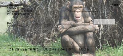 Safari Primates