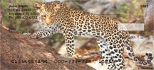 Safari Big Cats