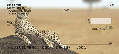 Safari Big Cats