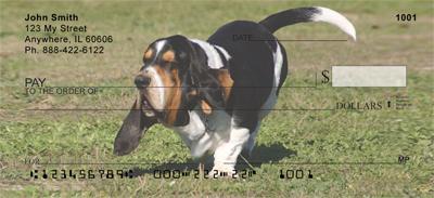 Active Basset Hounds