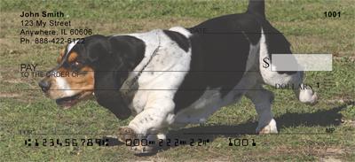 Active Basset Hounds