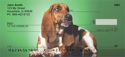 Soulful Basset Hounds