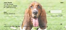 Basset Hounds On The Grass