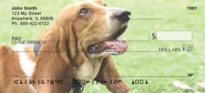 Basset Hounds On The Grass