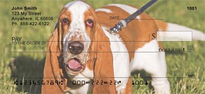 Basset Hounds On The Grass