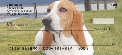 Basset Hounds Near The Beach