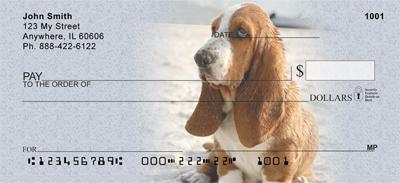 Basset Hounds Near The Beach