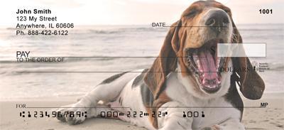 Basset Hounds Near The Beach