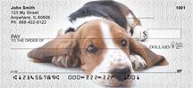 Cute Basset Hounds