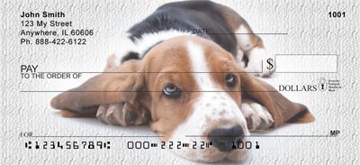 Cute Basset Hounds