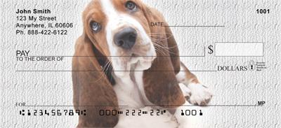 Cute Basset Hounds