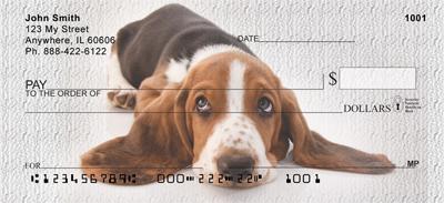 Cute Basset Hounds
