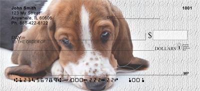 Cute Basset Hounds