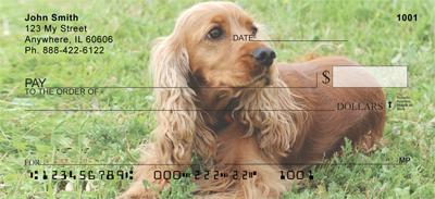 Cocker Spaniel Puppies