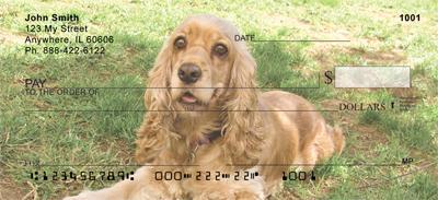 Cocker Spaniel Puppies
