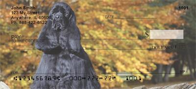 Regal Cocker Spaniel