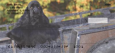 Regal Cocker Spaniel