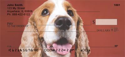Cocker Spaniel Closeup