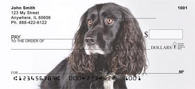 Black Cocker Spaniels