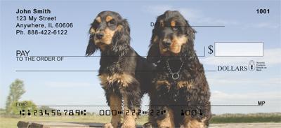 Rugged Cocker Spaniels