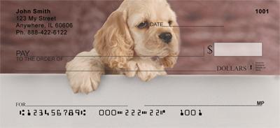 Cocker Spaniel Puppy