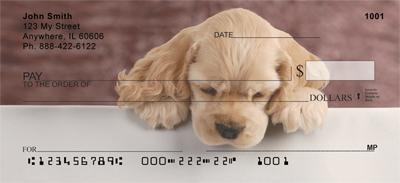 Cocker Spaniel Puppy