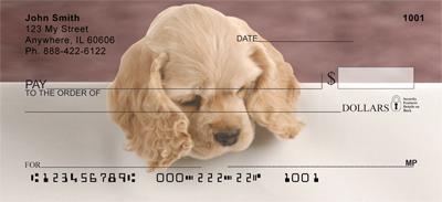 Cocker Spaniel Puppy