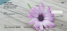Lonely Daisy