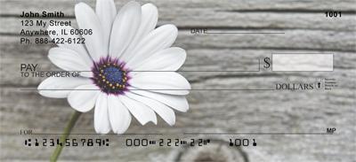 Lonely Daisy