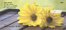 Yellow Daisies