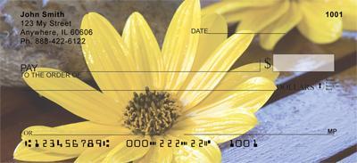 Yellow Daisies