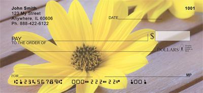 Yellow Daisies
