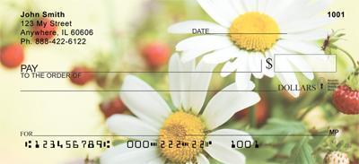 Daisy Bouquet