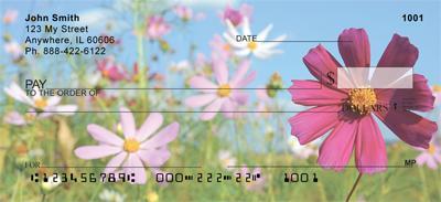 Daisies In The Meadow