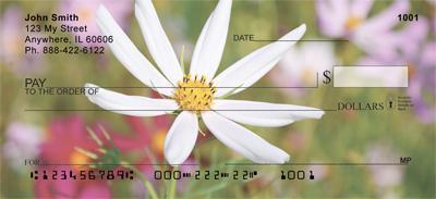 Daisies In The Meadow