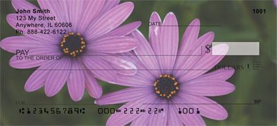 Purple Daisies
