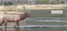 Elk In The River