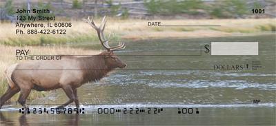 Elk In The River