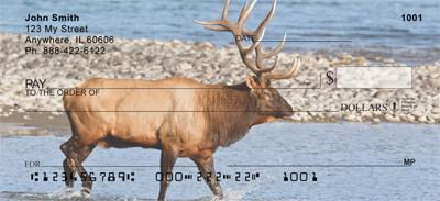 Elk In The River