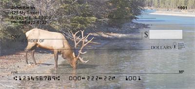 Elk In The River