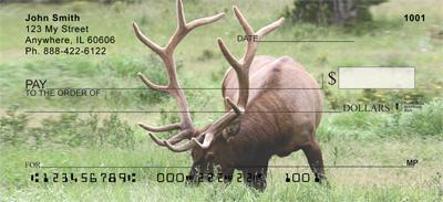 Grazing Elk