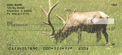 Grazing Elk