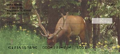 Grazing Elk