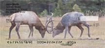 Fighting Elk