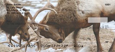 Fighting Elk