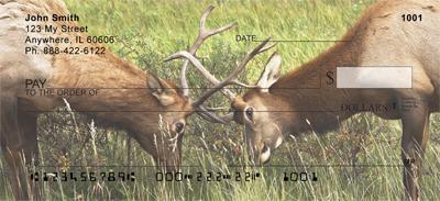 Fighting Elk