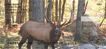 Elk In The Forest